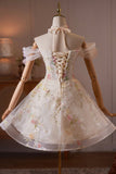 Champagne Off Shoulder Floral Tulle A-Line Evening Party Dress with 3D Flowers HZ0429