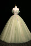 Mint Green Off-the-Shoulder Tulle Ball Gown with 3D Floral Appliques HZ0429