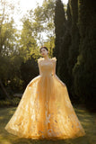 Yellow Tulle Lace Long Prom Dresses, A-Line Evening Gowns HZ0429