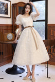 White Tulle Short Sleeve Prom Dress, Cute A-Line Party Homecoming Dress HZ0429