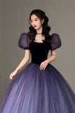 Purple Tulle Short Sleeve Formal Dress, Cute A-Line Evening Dress HZ0429