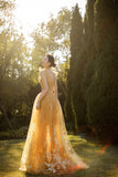 Yellow Tulle Lace Long Prom Dresses, A-Line Evening Gowns HZ0429