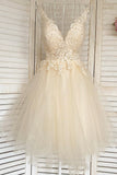 Champagne V-Neck Lace Short Prom Dresses, A-Line Mini Party Dresses HZ0429