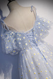 Blue Tulle Long Prom Dresses, Cute A-Line Evening Dresses HZ0429