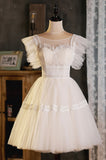 Cute Lace Short A-Line Prom Dress, Champagne Party Dress HZ0429