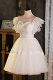 Cute Lace Short A-Line Prom Dress, Champagne Party Dress HZ0429