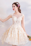 Champagne Tulle Lace Short Prom Dresses, A-Line Lace Party Dresses HZ0429