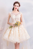 Champagne Tulle Lace Short Prom Dresses, A-Line Lace Party Dresses HZ0429