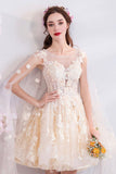 Champagne Tulle Lace Short Prom Dresses, A-Line Lace Party Dresses HZ0429
