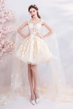 Champagne Tulle Lace Short Prom Dresses, A-Line Lace Party Dresses HZ0429