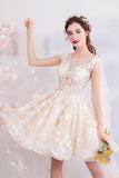 Champagne Tulle Lace Short Prom Dresses, A-Line Lace Party Dresses HZ0429