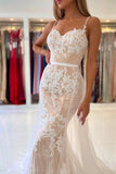 Mermaid Lace Long Prom Dresses, Champagne Evening Dresses HZ0429