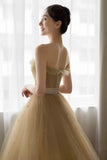 Lovely Strapless Tulle Lace Long Prom Dress, A-Line Evening Dress HZ0429