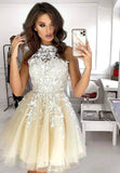 Cute Lace Short Prom Dresses, A-Line Homecoming Dresses HZ0429