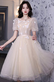 Champagne Lace Short Prom Dresses, A-Line Homecoming Dresses HZ0429