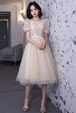 Champagne Lace Short Prom Dresses, A-Line Homecoming Dresses HZ0429