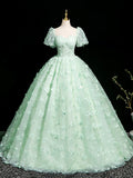 Green Tulle Long Prom Dress with Butterfly, Beautiful A-line Short Sleeve Evening Dress HZ0429