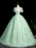 Green Tulle Long Prom Dress with Butterfly, Beautiful A-line Short Sleeve Evening Dress HZ0429