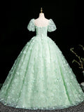 Green Tulle Long Prom Dress with Butterfly, Beautiful A-line Short Sleeve Evening Dress HZ0429