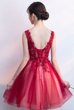 A-Line Tulle Short Prom Dress, V-Neck Lace Mini Party Dress HZ0429