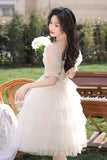 Champagne Tulle Sequins Short Prom Dress, Lovely A-Line Short Sleeve Party Dress HZ0429
