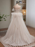 Light Champagne Tulle Long Princesse Dress, Lovely Spaghetti Straps Evening Party Dress HZ0429