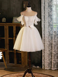 Light Champagne Spaghetti Strap Tulle Party Dress, Beautiful A-Line Evening Prom Dress HZ0429