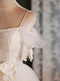Light Champagne Spaghetti Strap Tulle Party Dress, Beautiful A-Line Evening Prom Dress HZ0429