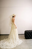 A-Line Tulle Lace Long Prom Dress, Elegant V-Neck Formal Evening Dress HZ0429
