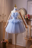 Blue Flower Fairy Beading Butterfly Prom Dresses, Cute A-Line Homecoming Dresses HZ0429